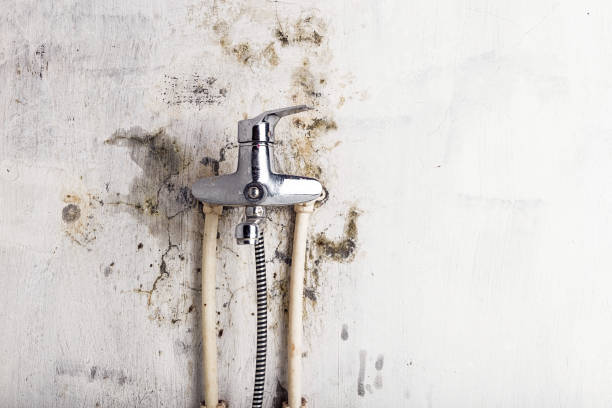 Best Water Damage Restoration  in Fris, CO