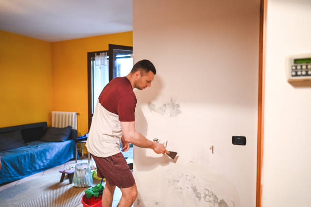 Mold Removal Process in Frisco, CO
